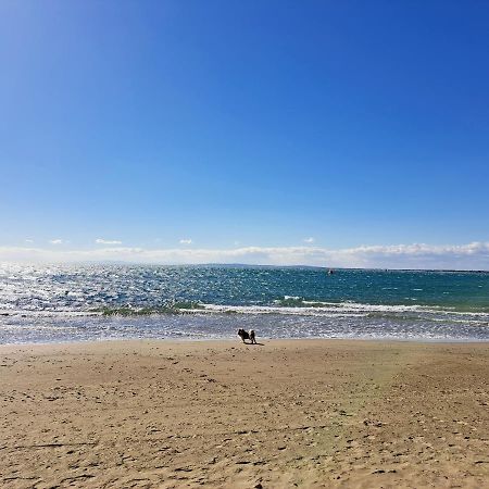 32M² Terrasse Plage Cap D'Agde Apartman Kültér fotó
